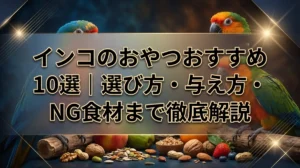インコのおやつおすすめ10選｜選び方・与え方・NG食材まで徹底解説