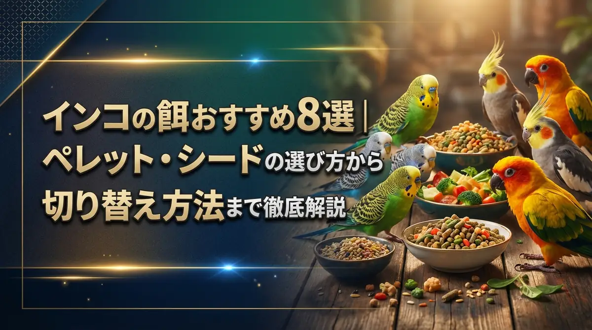 インコの餌おすすめ8選｜ペレット・シードの選び方から切り替え方法まで徹底解説