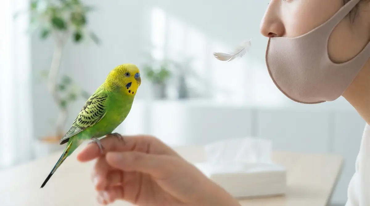 インコの鳥アレルギーに関するよくある質問