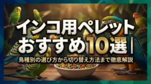 インコ用ペレットおすすめ10選｜鳥種別の選び方から切り替え方法まで徹底解説