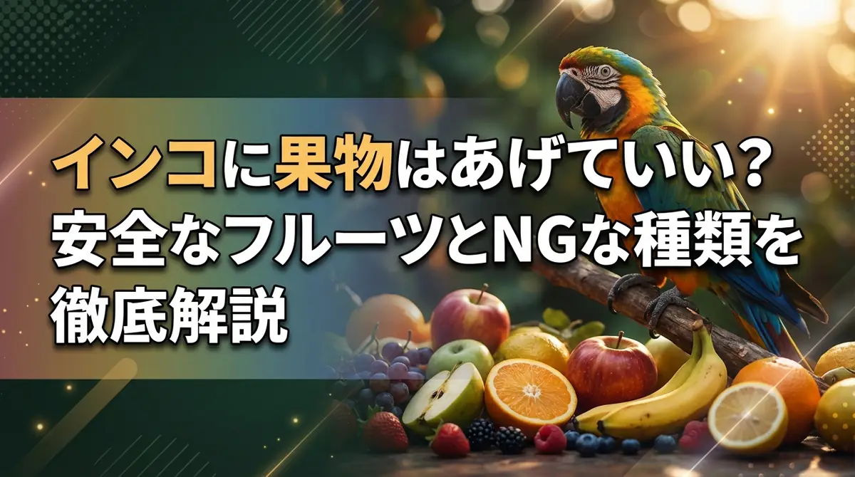 インコに果物はあげていい?安全なフルーツとNGな種類を徹底解説