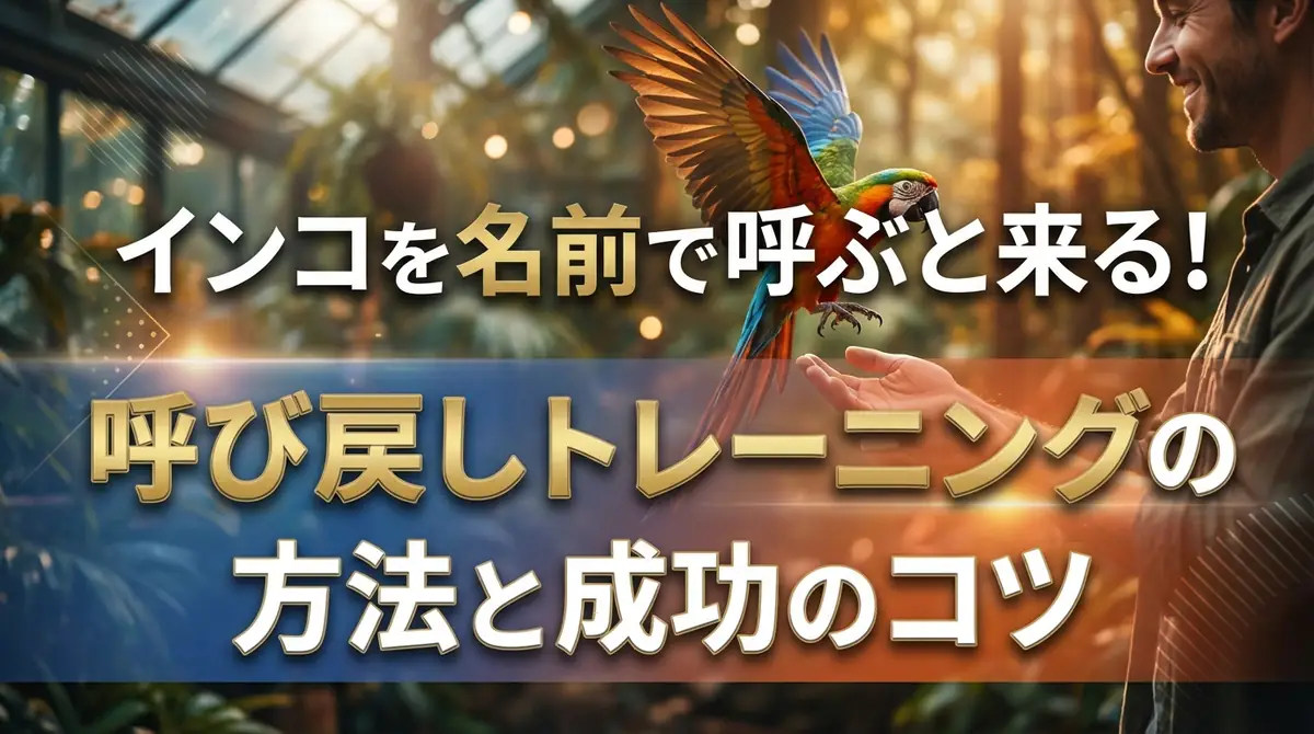 インコを名前で呼ぶと来る!呼び戻しトレーニングの方法と成功のコツ