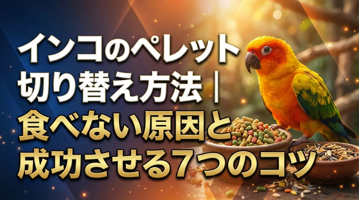 インコのペレット切り替え方法｜食べない原因と成功させる7つのコツ