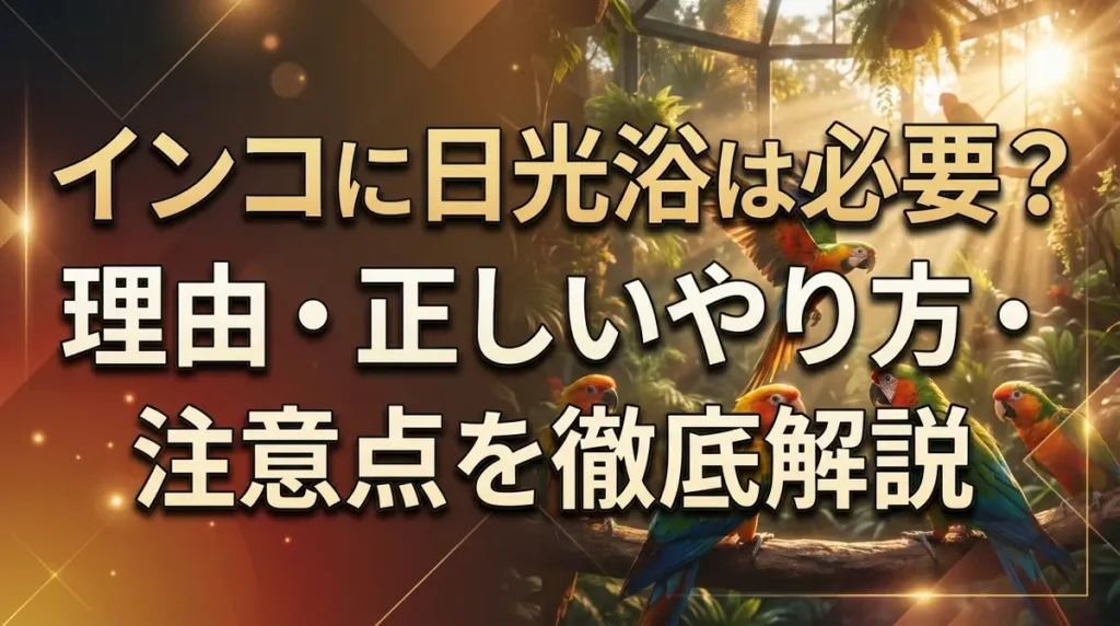 インコに日光浴は必要？理由・正しいやり方・注意点を徹底解説