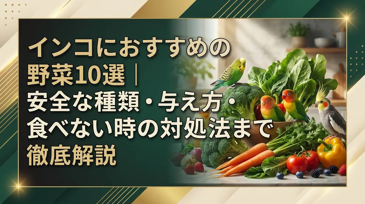 インコにおすすめの野菜10選|安全な種類・与え方・食べない時の対処法まで徹底解説