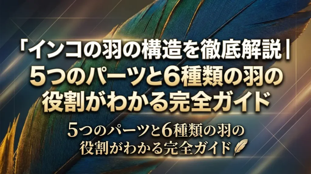 インコの羽の構造を徹底解説｜5つのパーツと6種類の羽の役割がわかる完全ガイド