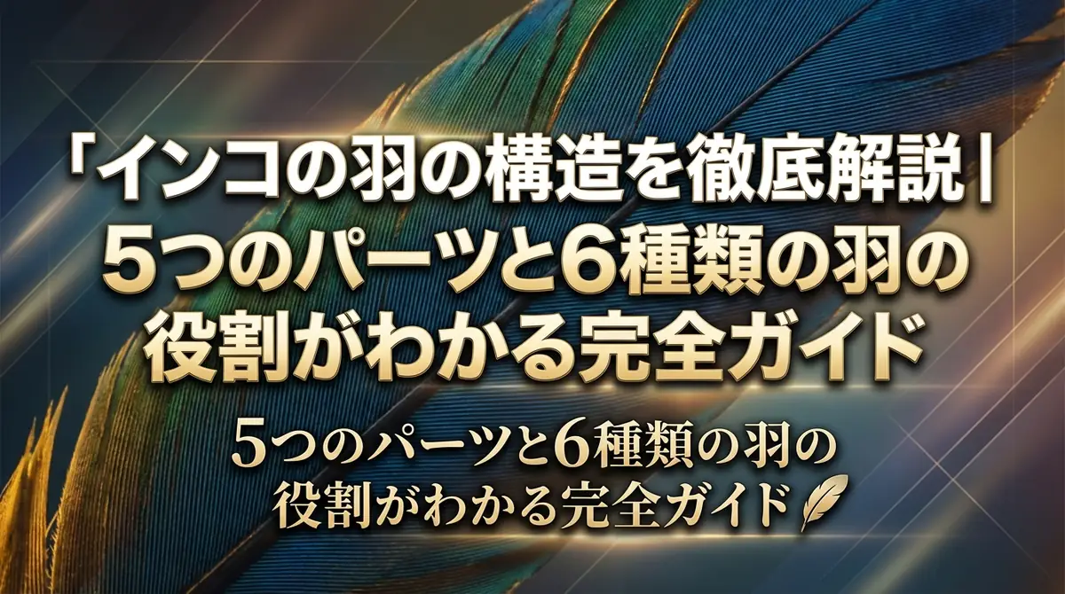 インコの羽の構造を徹底解説|5つのパーツと6種類の羽の役割がわかる完全ガイド
