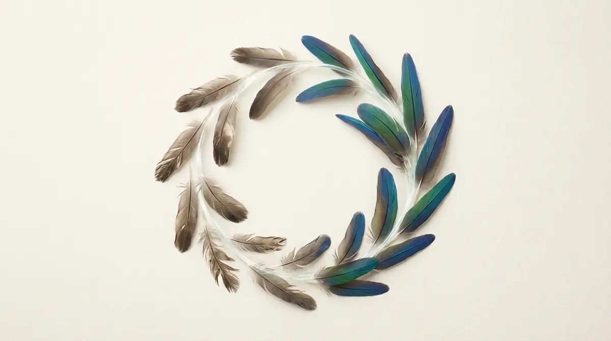 換羽(かんう)の仕組み|羽が生え変わるサイクル