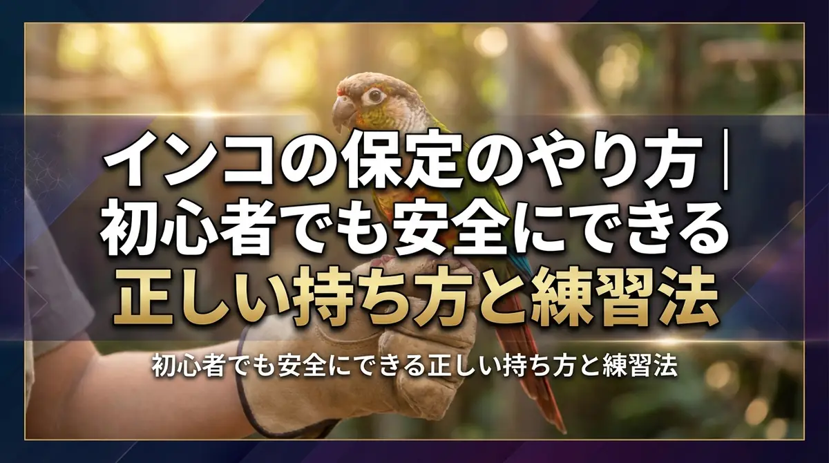 インコの保定のやり方｜初心者でも安全にできる正しい持ち方と練習法