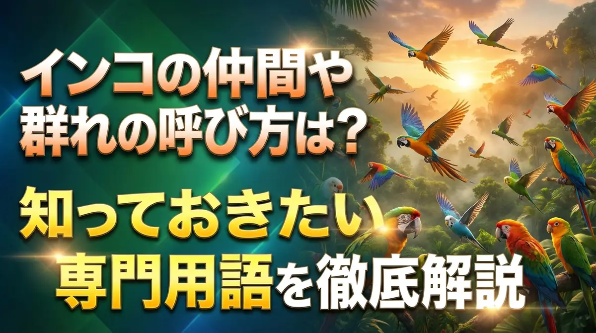 インコの仲間や群れの呼び方は？知っておきたい専門用語を徹底解説