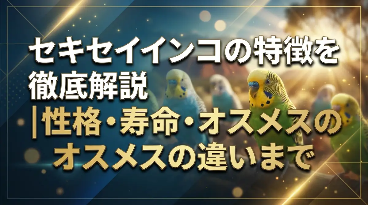 セキセイインコの特徴を徹底解説|性格・寿命・オスメスの違いまで