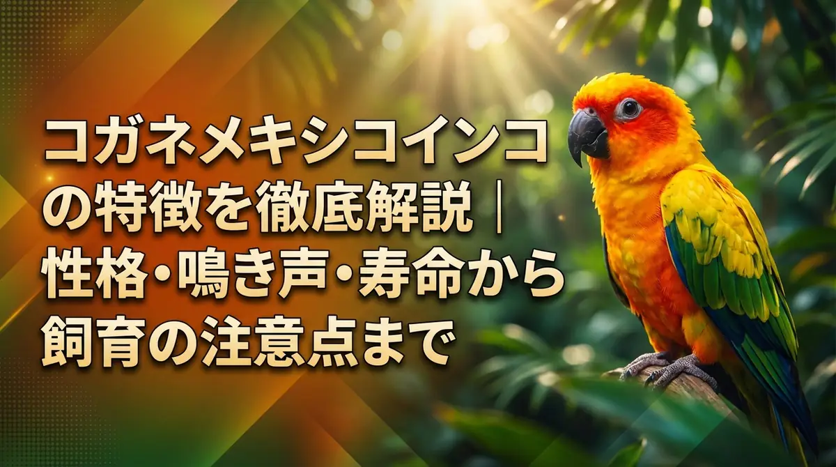 コガネメキシコインコの特徴を徹底解説|性格・鳴き声・寿命から飼育の注意点まで