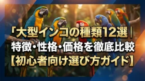 大型インコの種類12選｜特徴・性格・価格を徹底比較【初心者向け選び方ガイド】