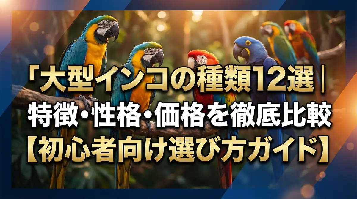 大型インコの種類12選｜特徴・性格・価格を徹底比較【初心者向け選び方ガイド】