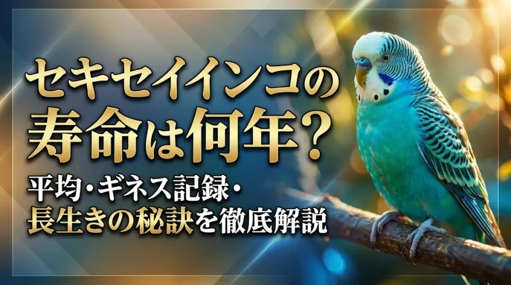 セキセイインコの寿命は何年？平均・ギネス記録・長生きの秘訣を徹底解説