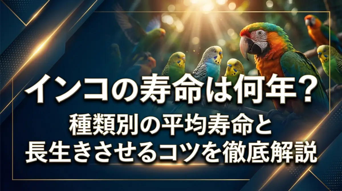 インコの寿命は何年?種類別の平均寿命と長生きさせるコツを徹底解説