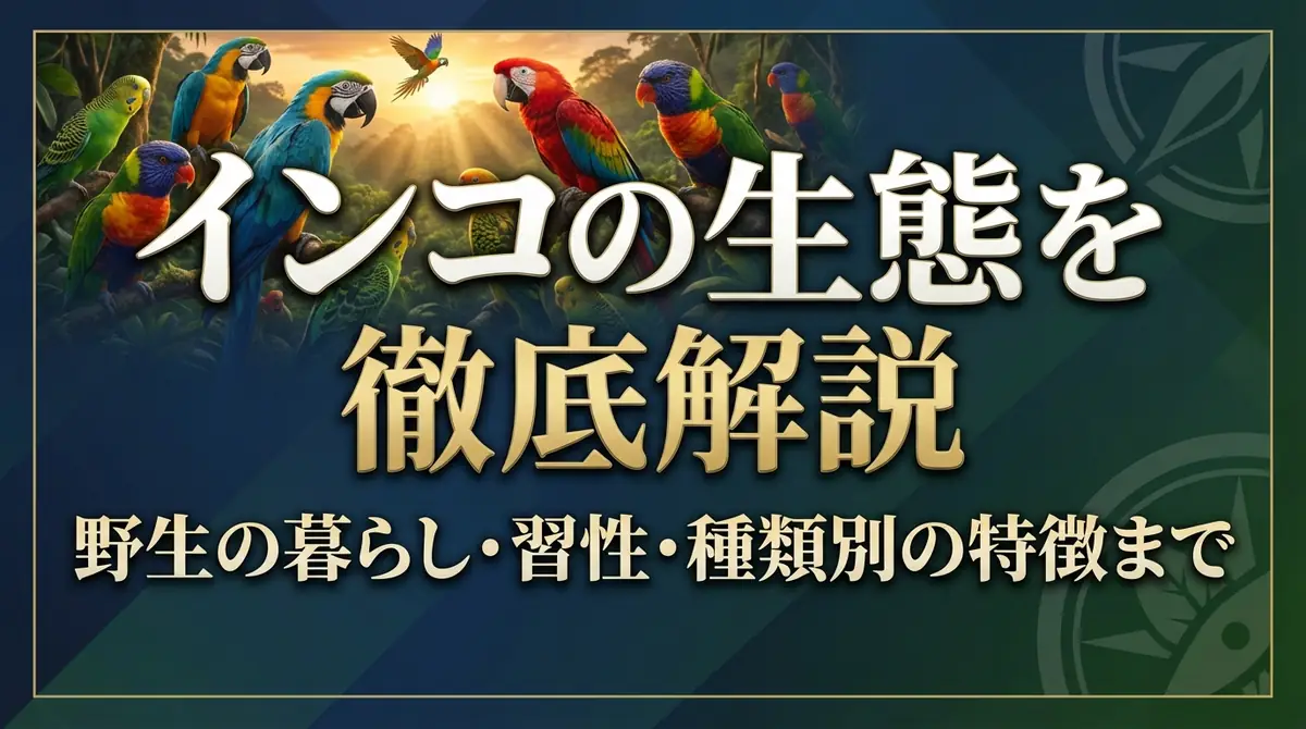 インコの生態を徹底解説|野生の暮らし・習性・種類別の特徴まで