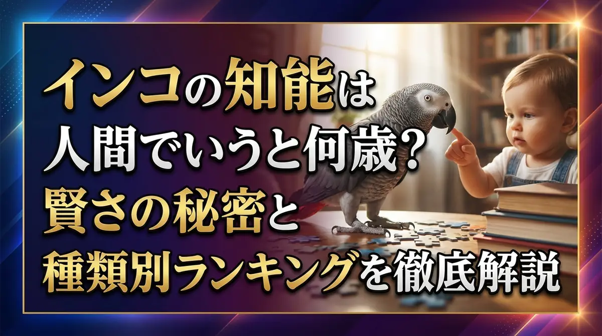 インコの知能は人間でいうと何歳?賢さの秘密と種類別ランキングを徹底解説