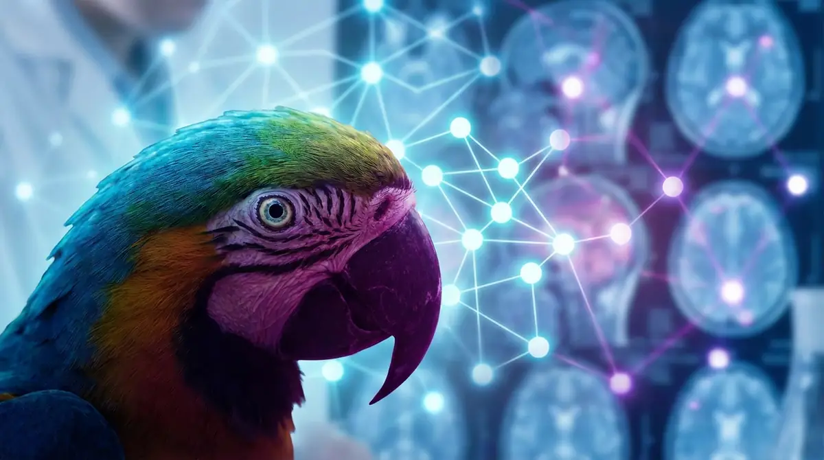 インコが「頭いい」と言われる科学的根拠