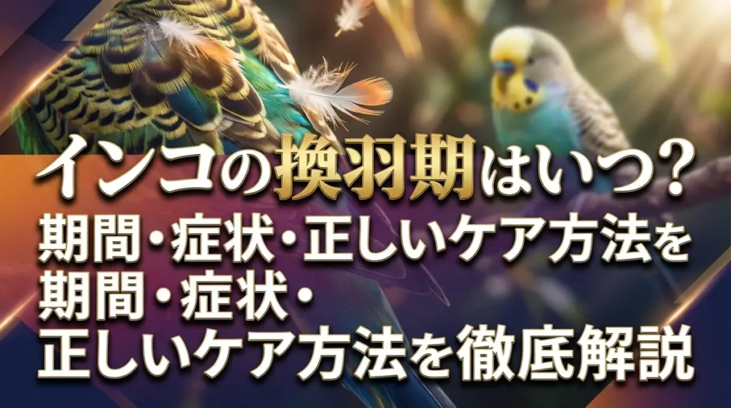 インコの換羽期はいつ？期間・症状・正しいケア方法を徹底解説