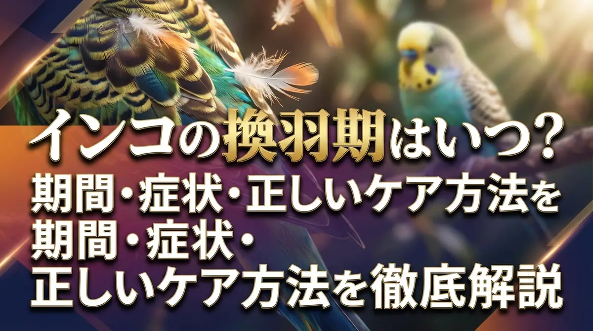 インコの換羽期はいつ?期間・症状・正しいケア方法を徹底解説