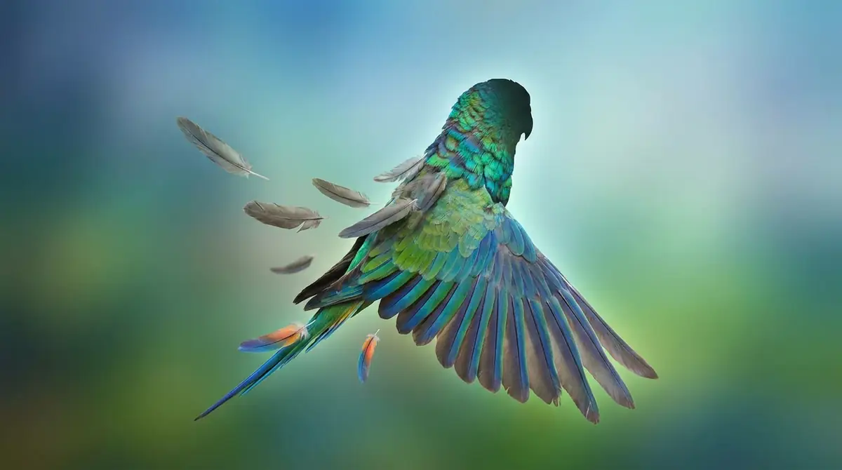 換羽期とは?インコの羽が抜ける仕組みと役割