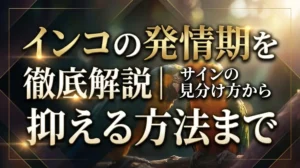 インコの発情期を徹底解説｜サインの見分け方から抑える方法まで