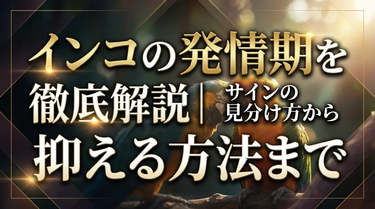 インコの発情期を徹底解説|サインの見分け方から抑える方法まで