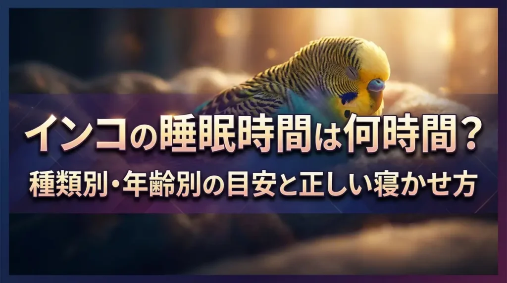 インコの睡眠時間は何時間？種類別・年齢別の目安と正しい寝かせ方