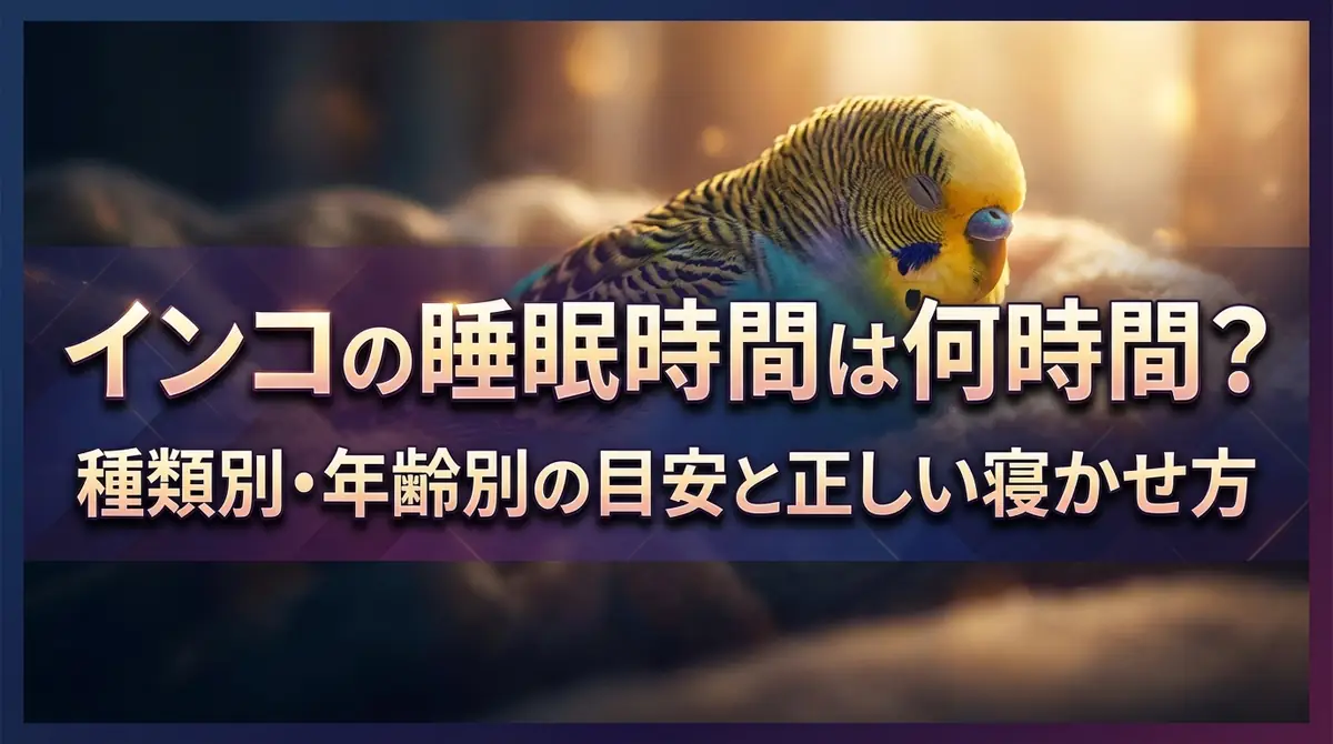 インコの睡眠時間は何時間?種類別・年齢別の目安と正しい寝かせ方