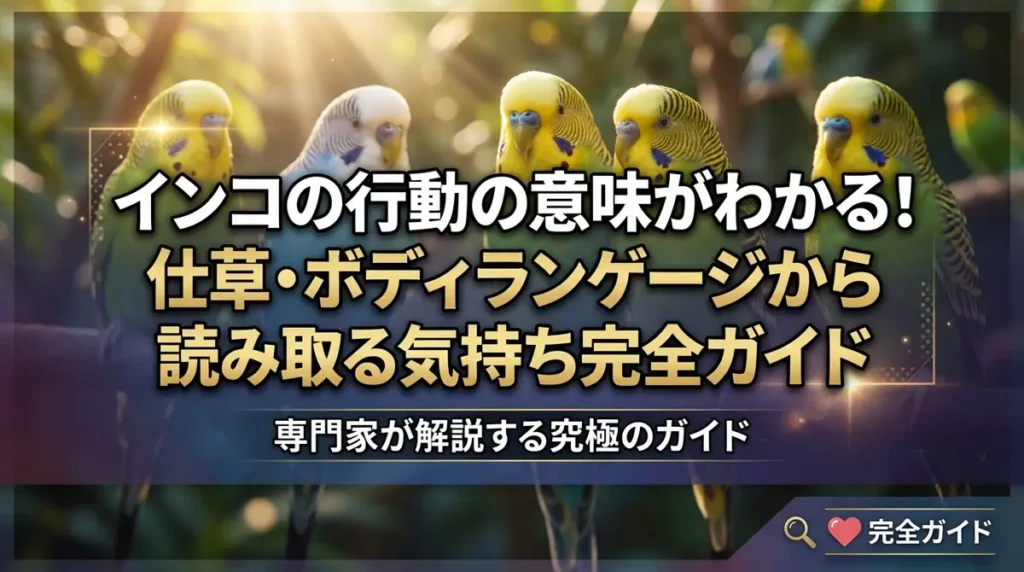インコの行動の意味がわかる！仕草・ボディランゲージから読み取る気持ち完全ガイド