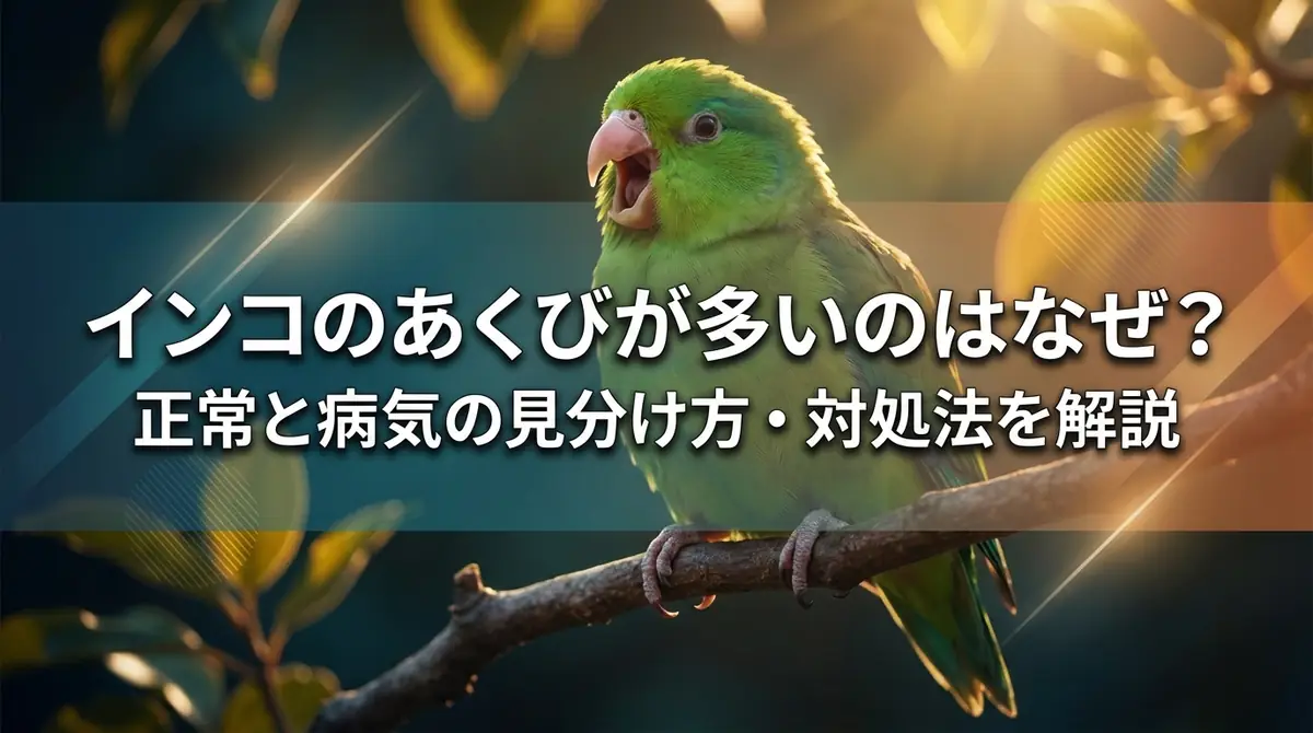 インコのあくびが多いのはなぜ?正常と病気の見分け方・対処法を解説